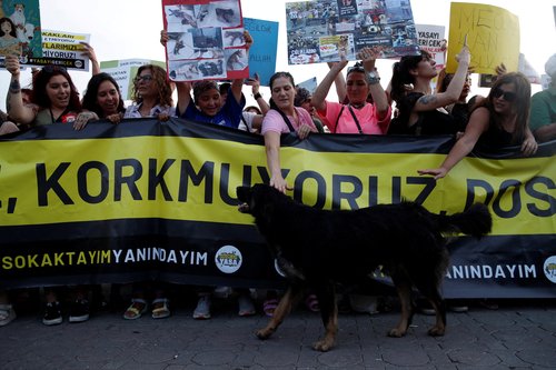 Animal rights activists take part in a rally in Istanbul
