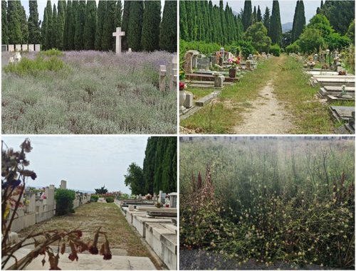 groblje lovrinac hrvatska