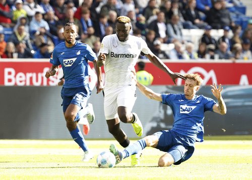 Bundesliga - TSG 1899 Hoffenheim v Bayer Leverkusen