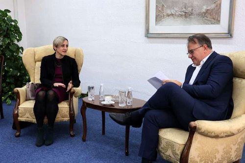 Nermin Niksic, Alina Iancu