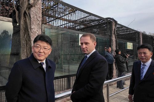 Pjongjang zoološki vrt
