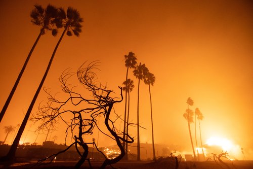 Palisades Fire burns during a windstorm on the west side of Los Angeles