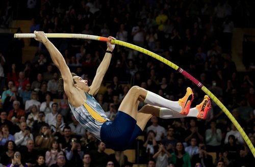 All Star Perche by SCC