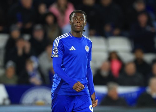 Premier League - Leicester City v Newcastle United