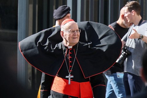 Cardinal Peter Erdo looks on at the Vatican following Pope Francis' death