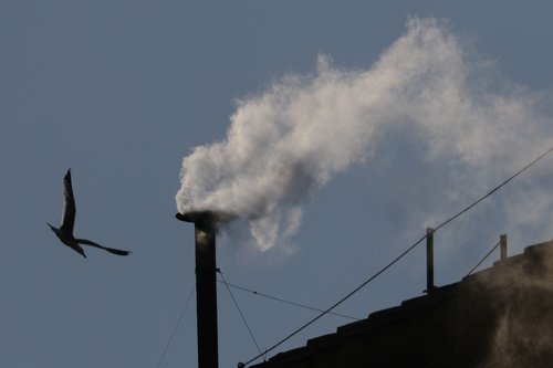 Bijeli dim diže se iz dimnjaka na Sikstinskoj kapeli