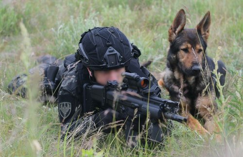 ministarstvo odbrane srbije prodaje pse