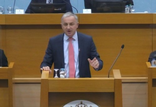 Branislav Borenović