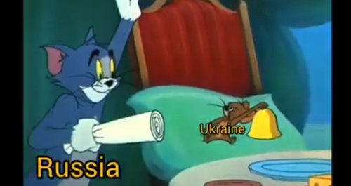 tom jerry