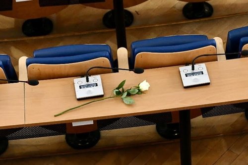 ruza segmedina skupstina