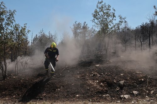 Gasilke in gasilci gasijo gozdni poar