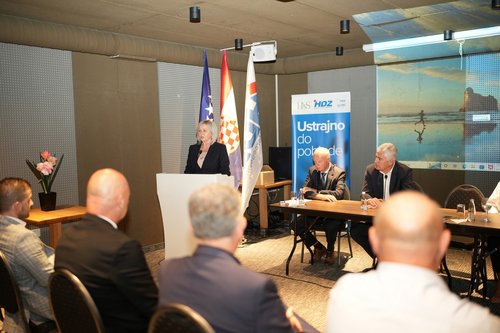 HDZ BiH