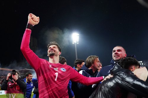 Soccer Football - FIFA World Cup - UEFA Qualifiers - Finals - Bosnia and Herzegovina v