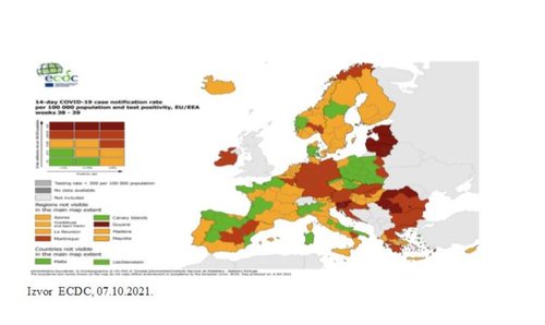 1633709664-grafika-2.JPG