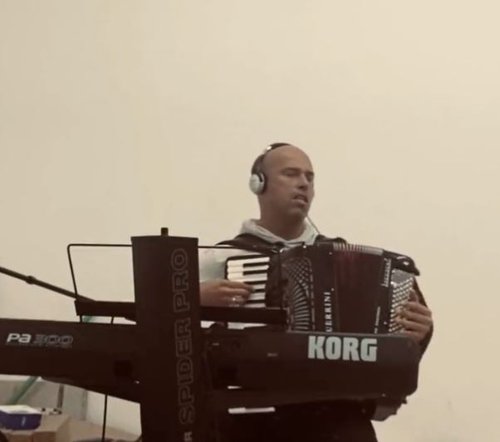 milan tegeltija, harmonika