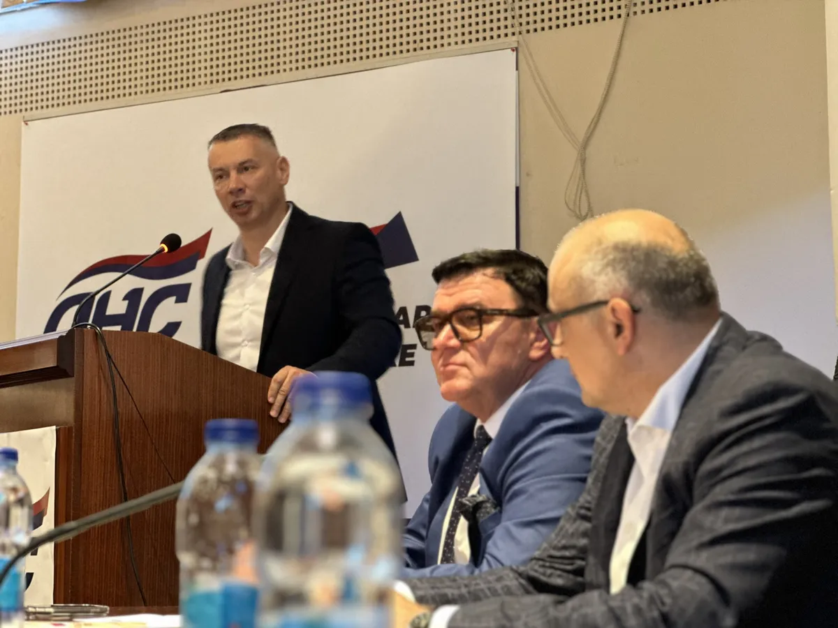 DNS i NPS dogovorili zajednički nastup na izborima u BiH