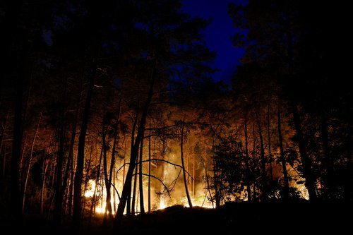 2026-07-12T210636Z_912344806_RC2KCMAI7KHH_RTRMADP_3_EUROPE-WEATHER-FRANCE-WILDFIRE