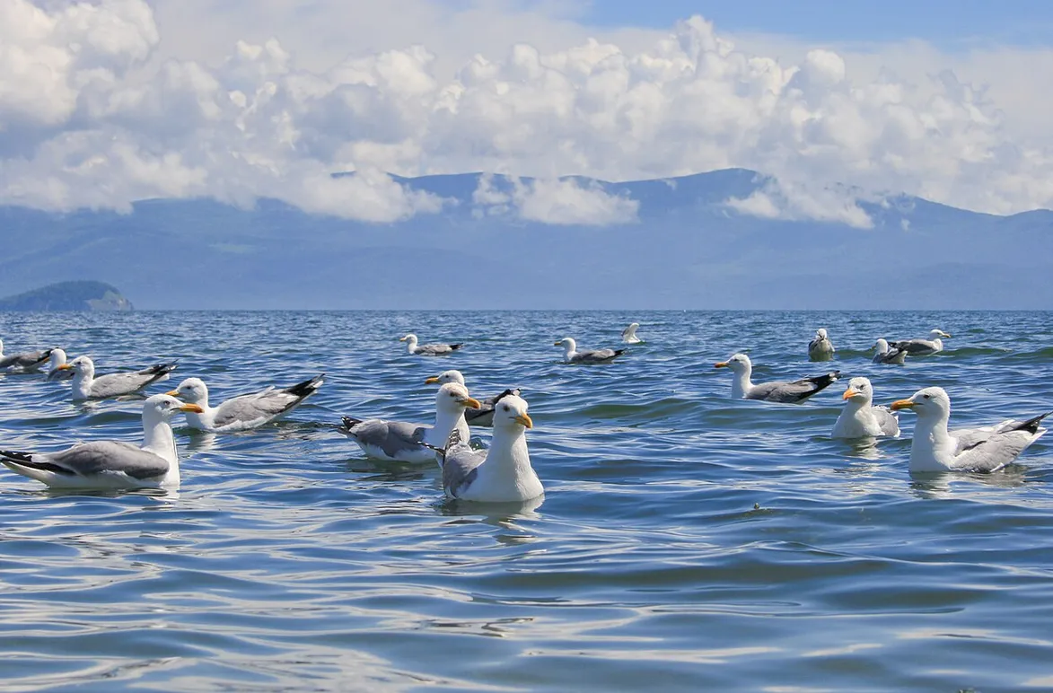 Najdublje jezero na Zemlji sadrži 20% svjetske slatke vode: "Hrani" ga 300 rijeka, a iz njega otiče samo jedna