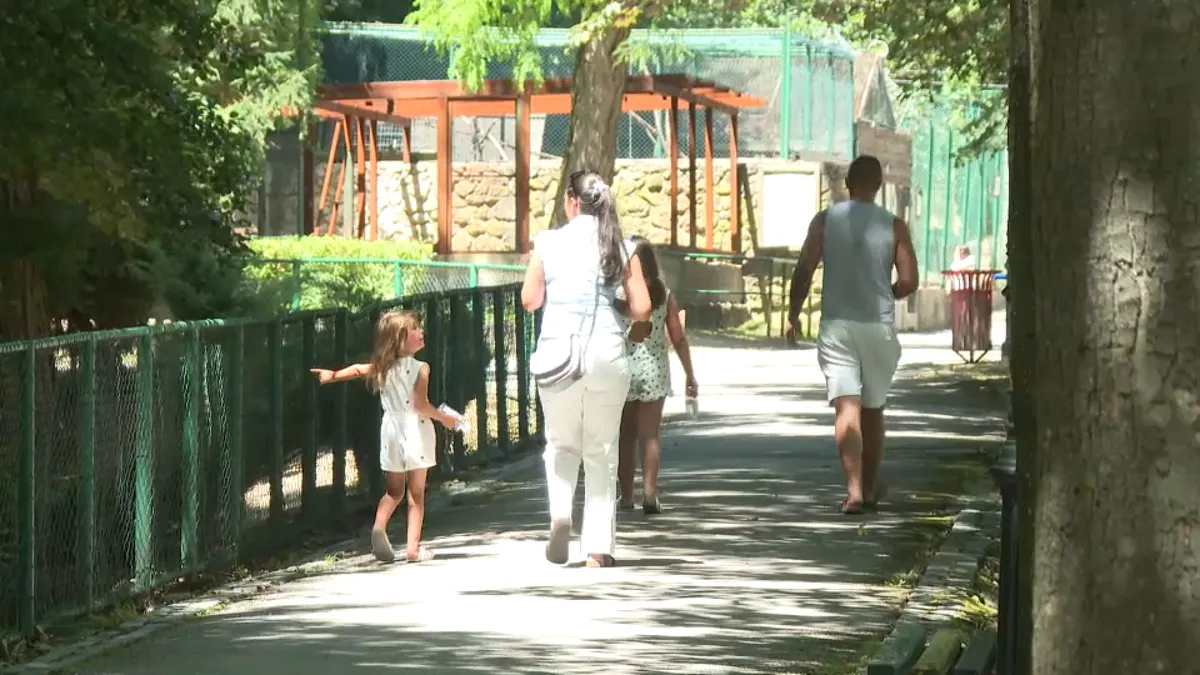 Zeleni raj nadomak Sarajeva: Pionirska dolina postala glavno utočište od vrelog gradskog asfalta