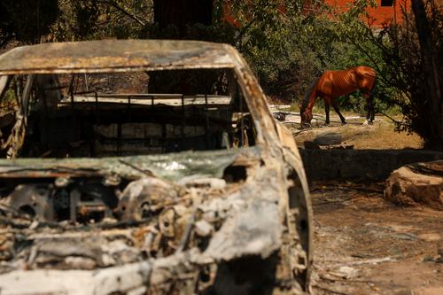 2026-07-28T200703Z_957462812_RC22NMAUX6HW_RTRMADP_3_EUROPE-WEATHER-SPAIN-WILDFIRE