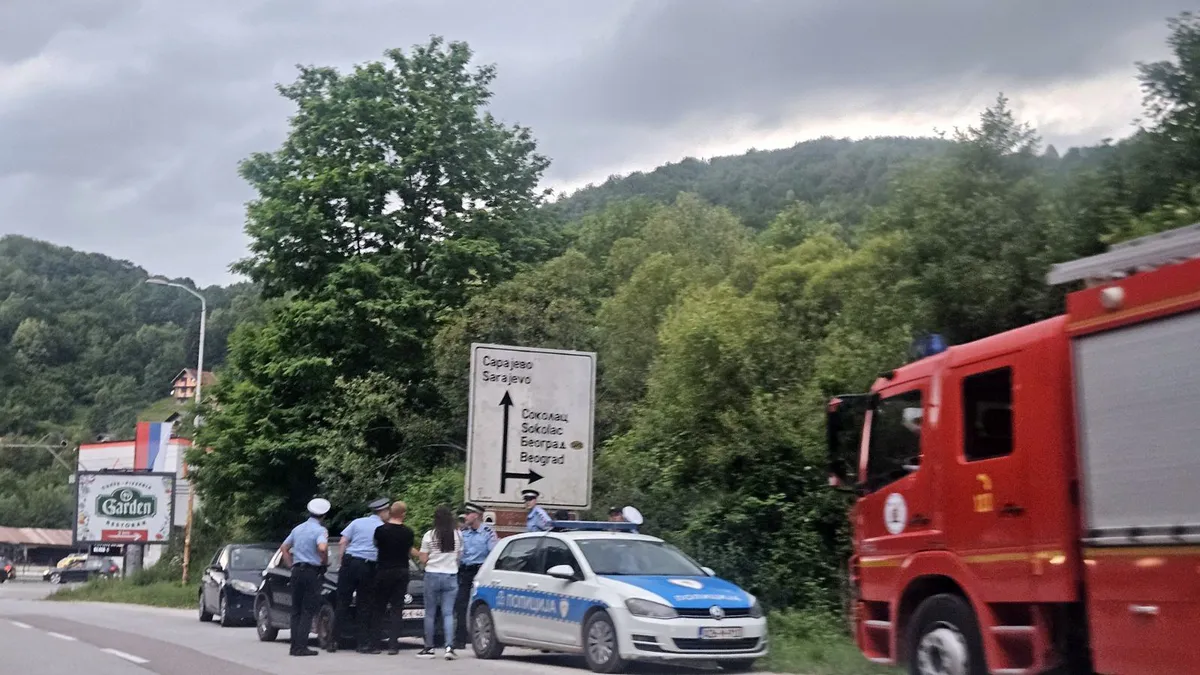 Pale: Sarajlija se popeo na drvo i ne želi sići, na terenu pregovarački timovi, porodica i Hitna pomoć