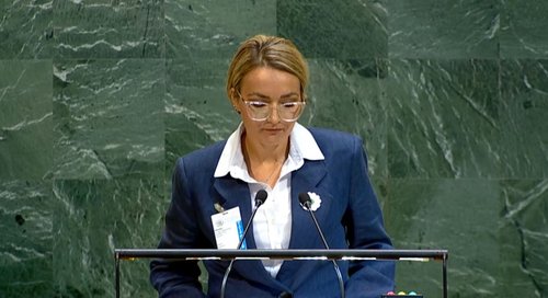 emina siannaovic