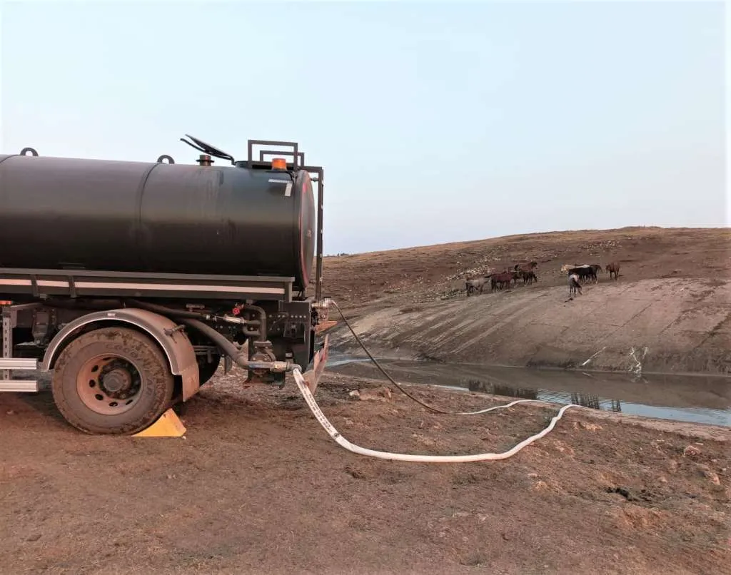 Bosnia's Armed Forces deliver water to save Livno wild horses amid drought