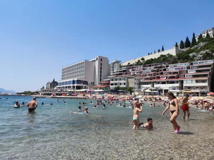 FUP otkrio plantažu marihuane u Neumu, uhapšena jedna osoba (35)