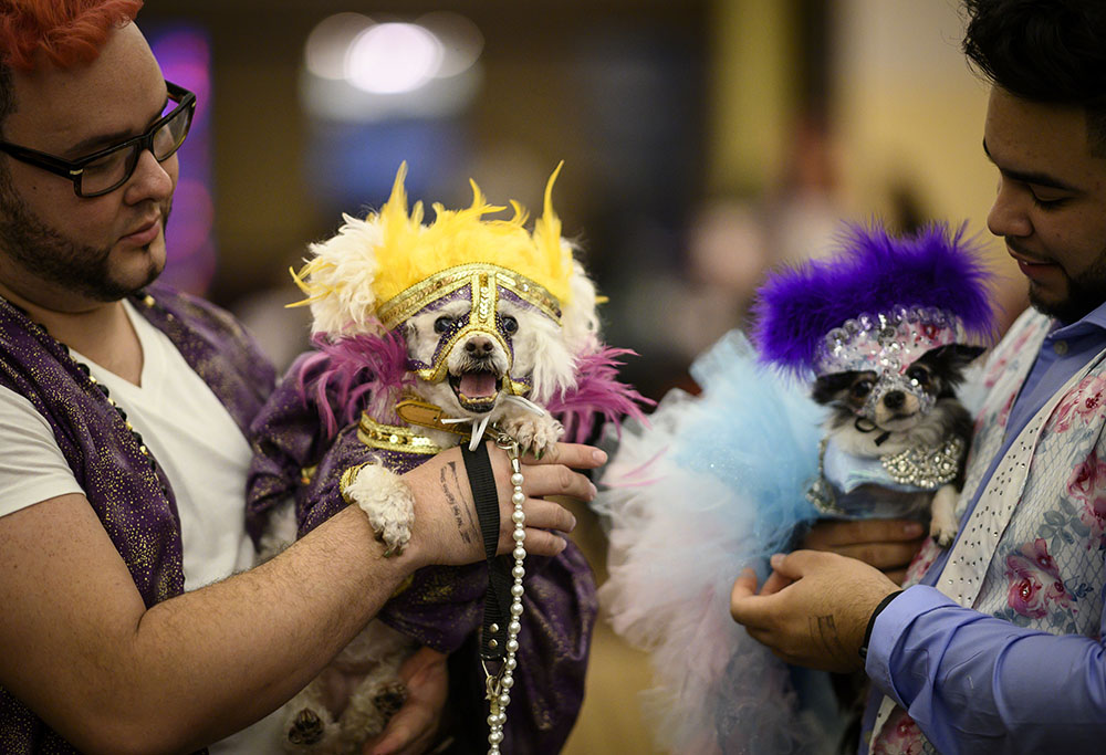 REUTERS/Shannon Stapleton