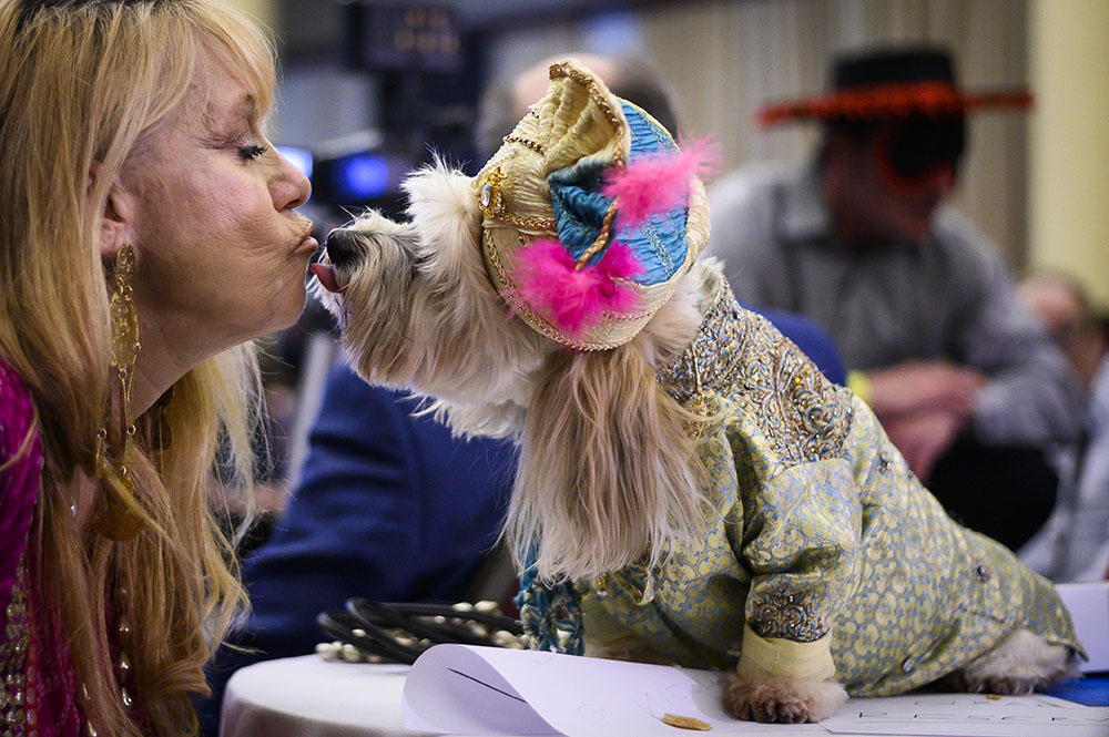 REUTERS/Shannon Stapleton