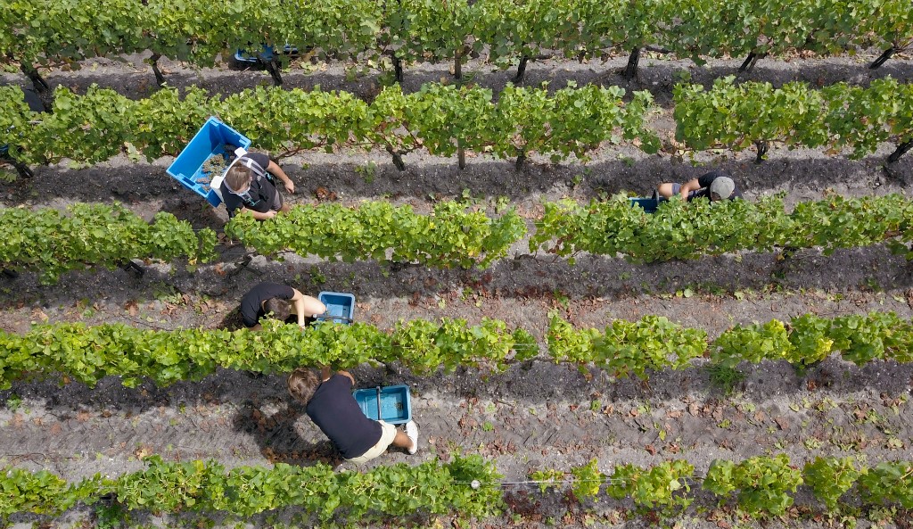 LIONEL BONAVENTURE / AFP