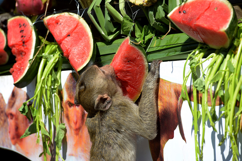 AFP/Tang Chhin Sothy