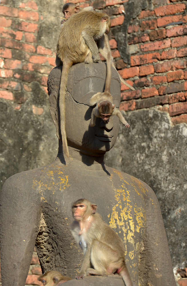 AFP/Tang Chhin Sothy