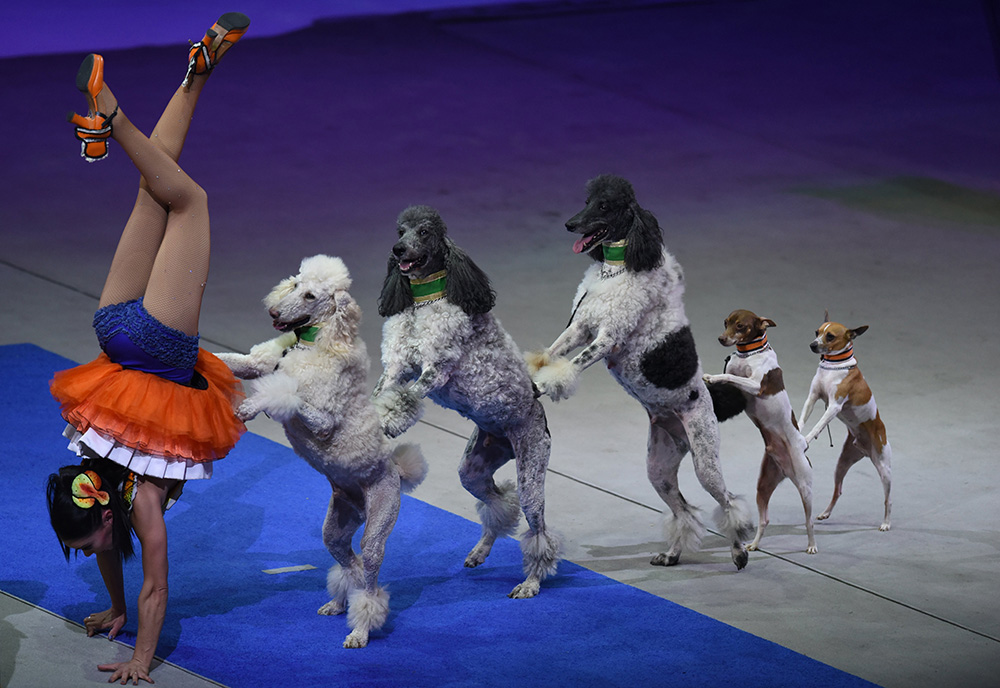 AFP/Timothy A. Clary