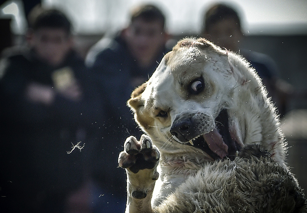 AFP/Vyacheslav Oseledko