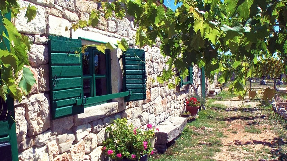 00225_MTS_snapshot_00_01_[2014_11_24_18_29_27]