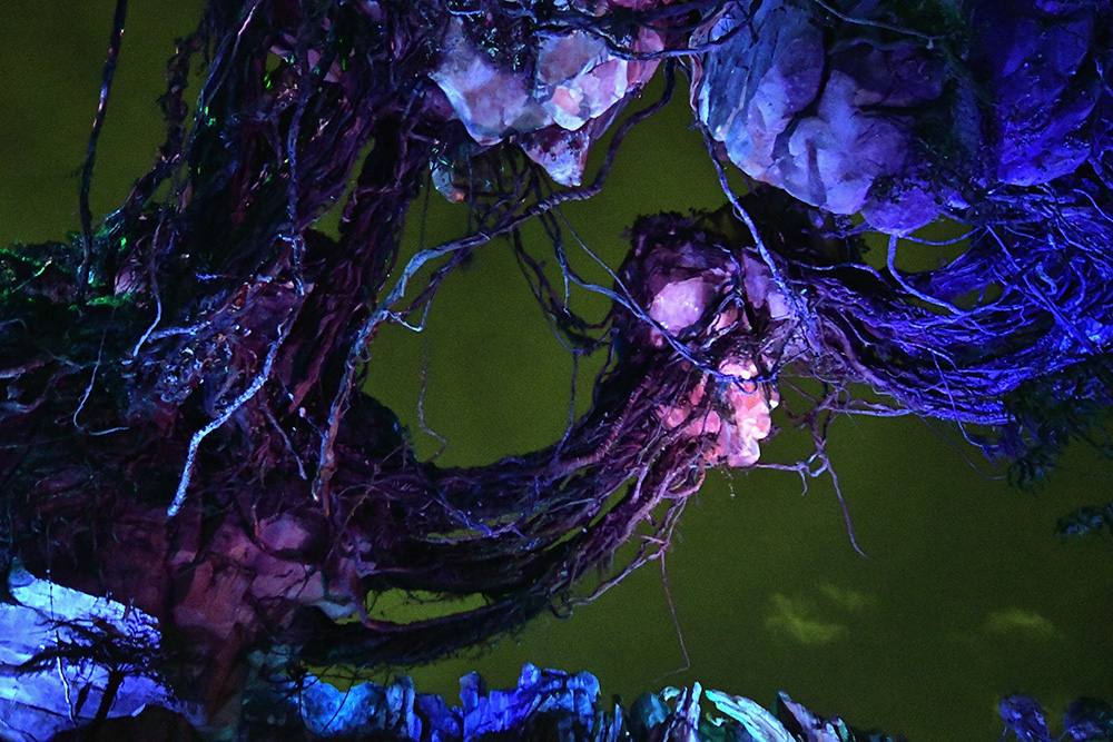 AFP/Gustavo Caballero