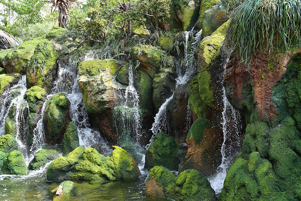 AFP/Gustavo Caballero