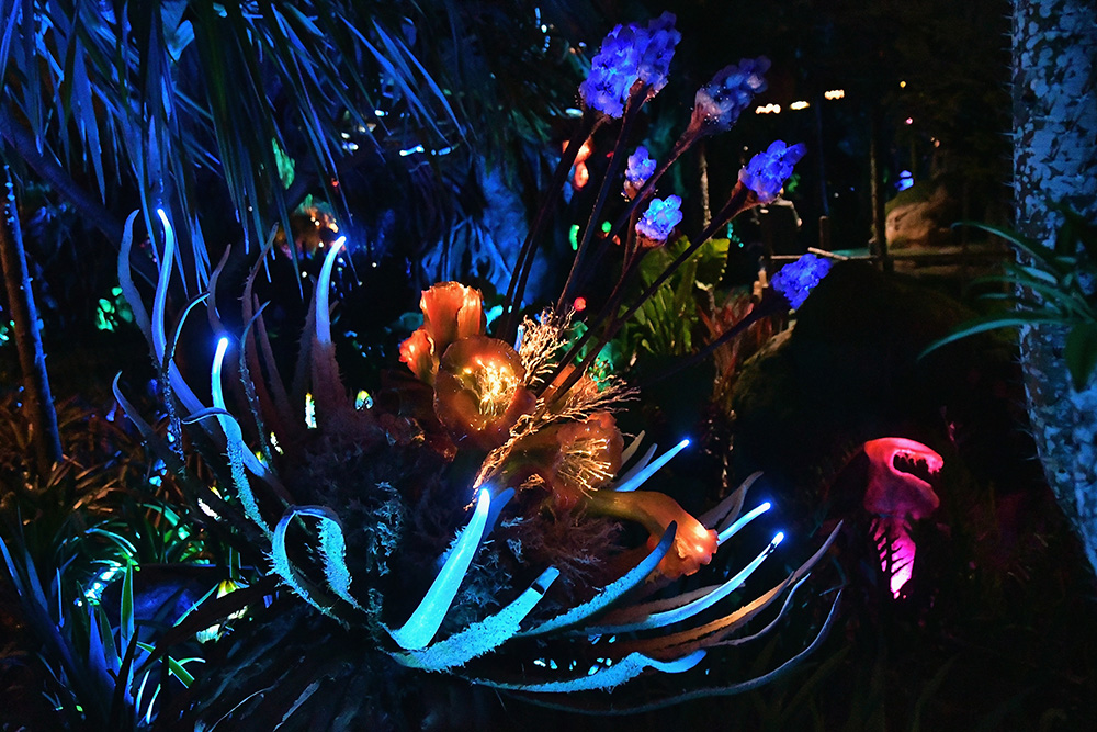 AFP/Gustavo Caballero