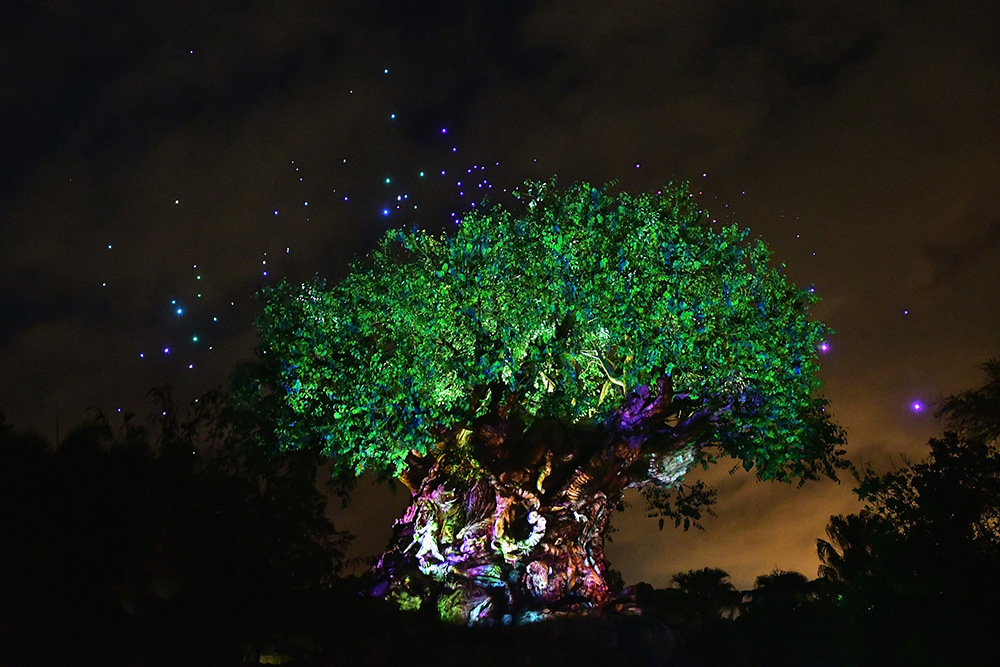 AFP/Gustavo Caballero