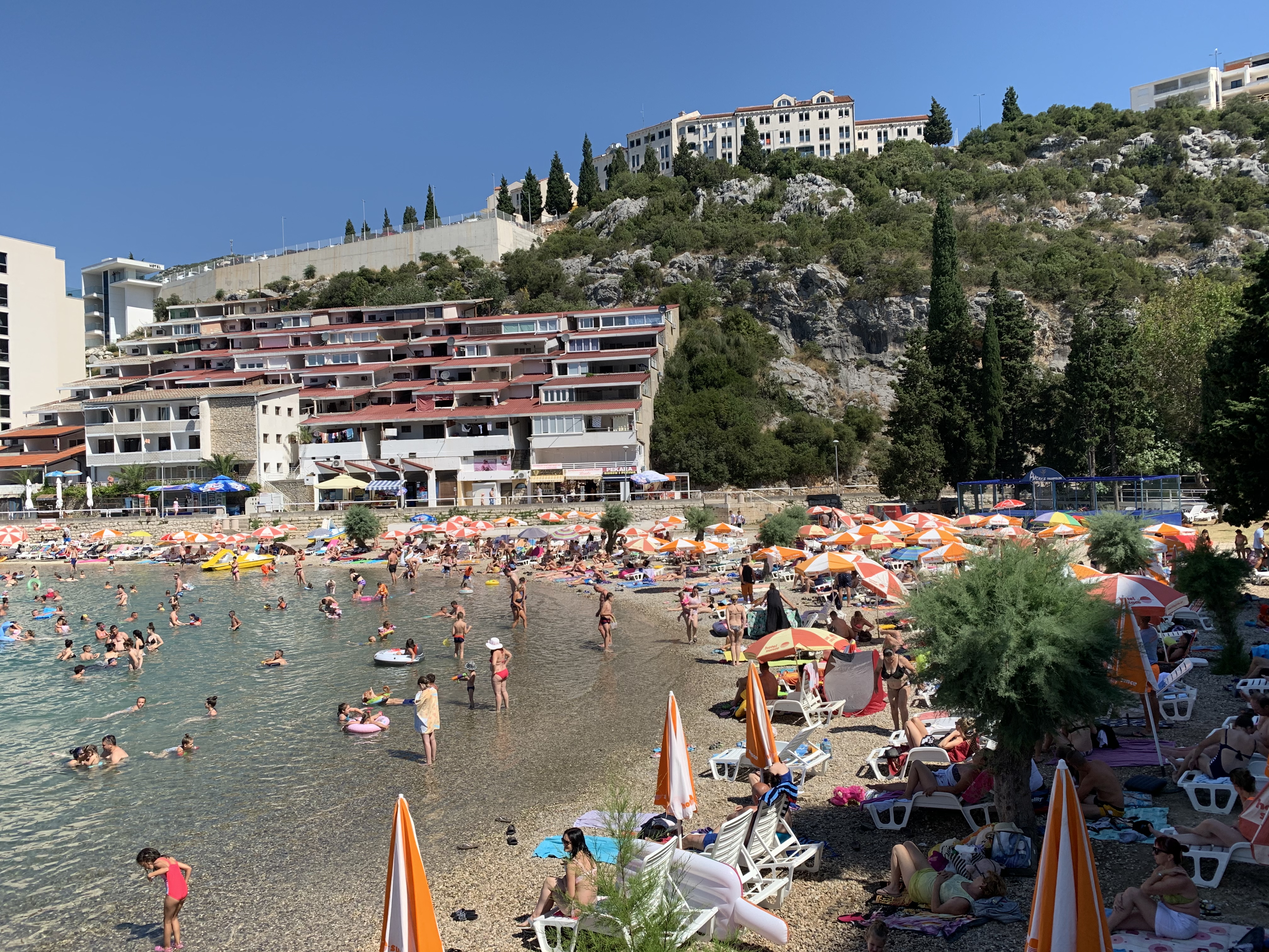 0B18C454-C392-48BB-8D86-68D74977227B