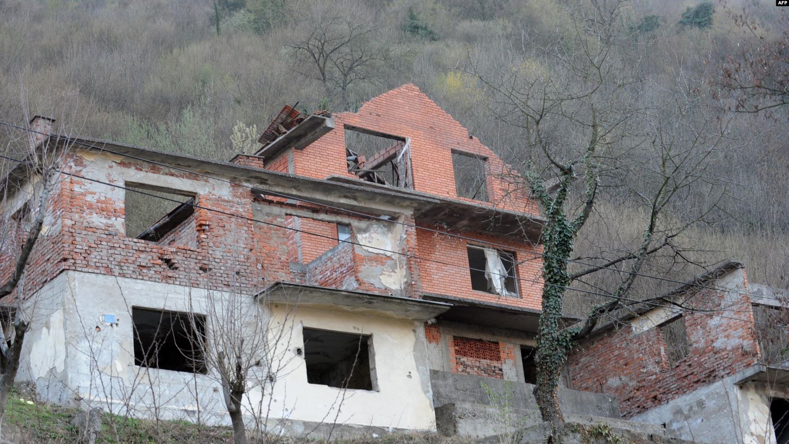 0BADC177-D0B1-422E-B74F-8BD9797820D6_w1597_n_r1_st