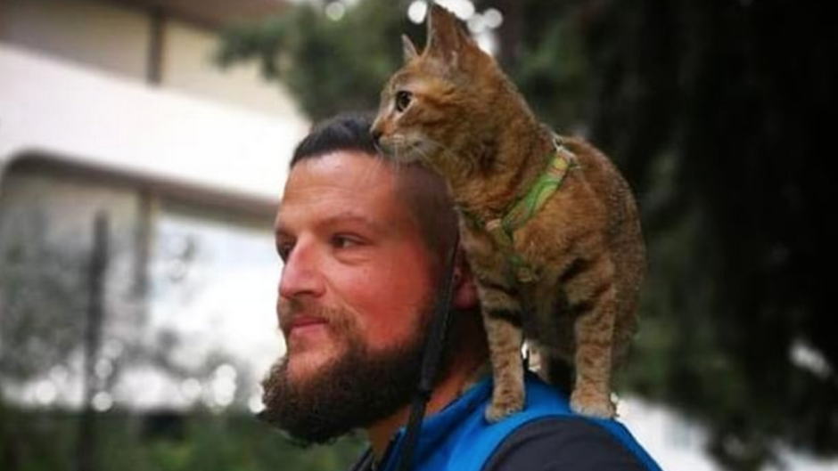 1_Screen-Shot-2019-04-02-at-125436