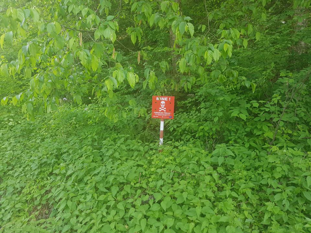 1000_149432431818222657_798200220327195_7238886175635370442_n