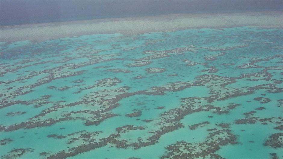 1024px-Part_of_Great_Barrier_Reef_from_Helecopter