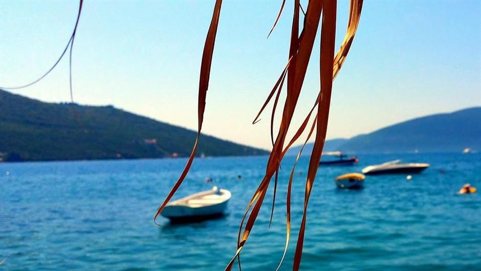 10537357_925348864147691_4939823914287407653_n