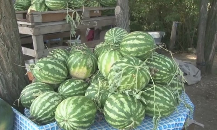 1108_TK_DOLINA_LUBENICA