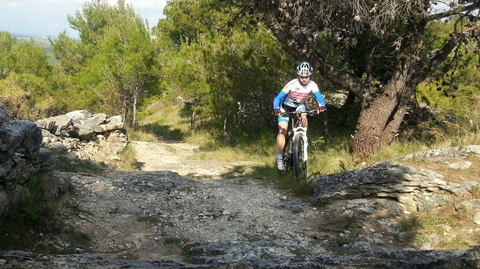 11150396_879304612108998_4741783392417402830_n