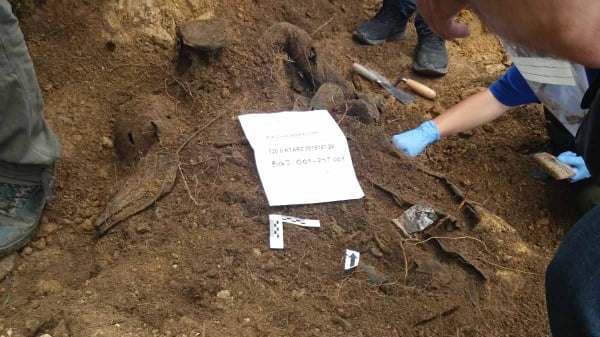 114744256_313838863079013_7319626884303404088_n