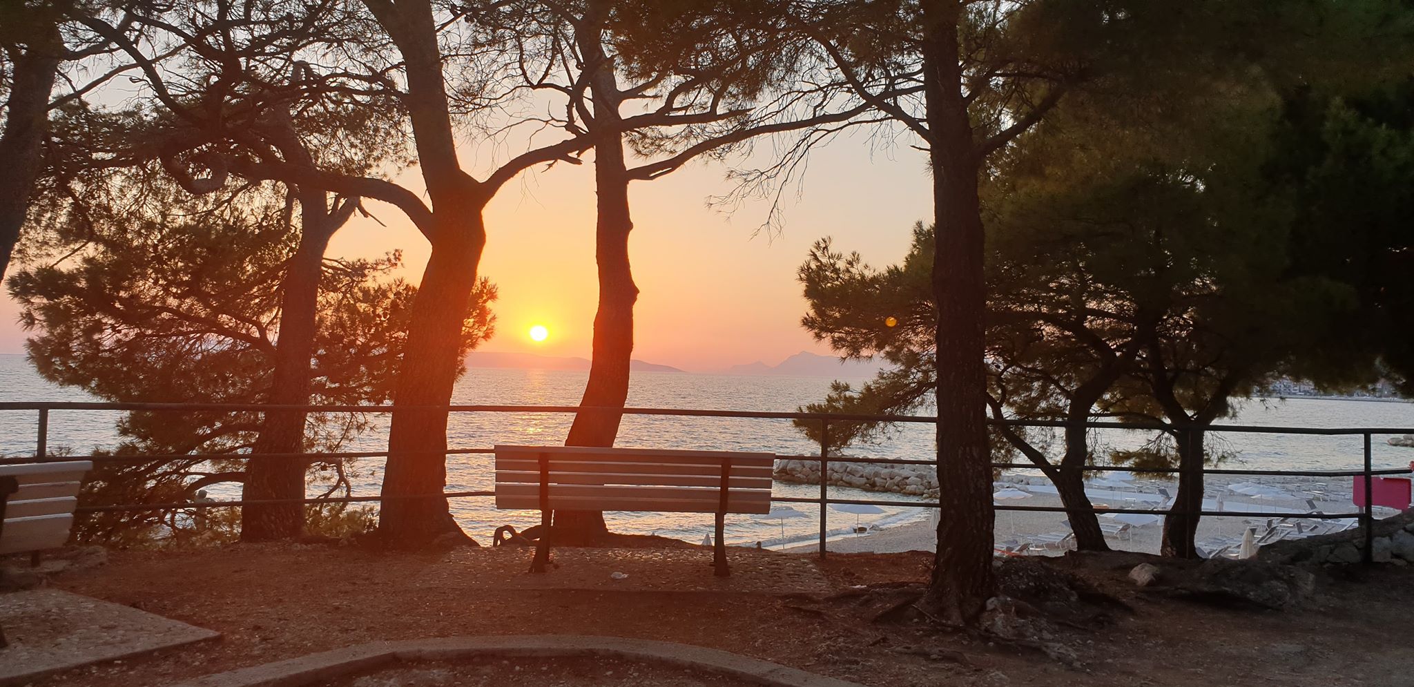 116720995_640036060258727_5386902313199877450_n